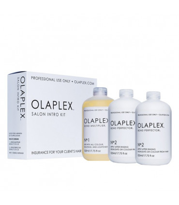 Olaplex Salon Intro Kit Alles voor de complete Olaplex haarroutine - 1