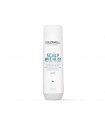 Dualsenses Scalp Specialist Anti-Dandruff Shampoo  250ml