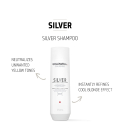 Goldwell Dualsenses Silver Silver Shampoo 250ml  | Celini.be
