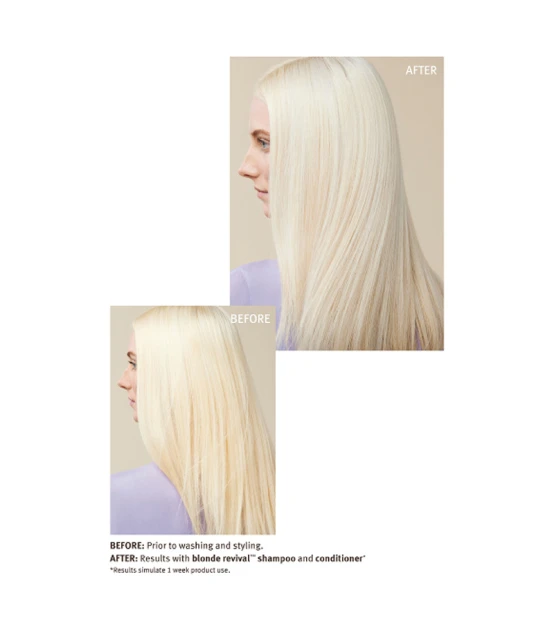 Aveda Blonde Revival Purple Toning Conditioner 200ml  | Celini.nl