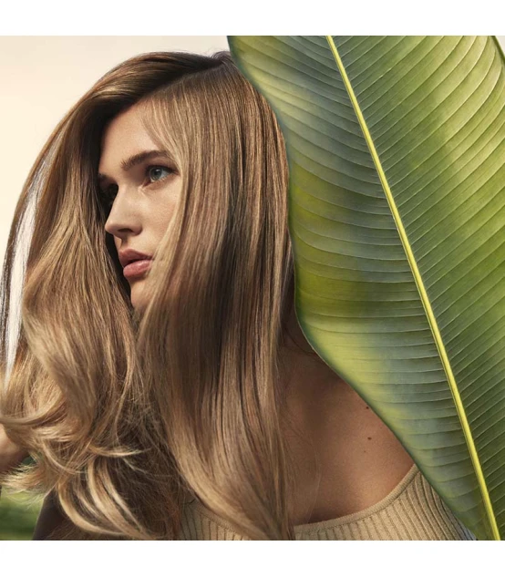 Aveda Nutriplenish Multi-Use Hair Oil 30ml  | Celini.nl
