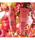 Aveda Nutriplenish Shampoo Deep Moisture 250ml  | Celini.nl