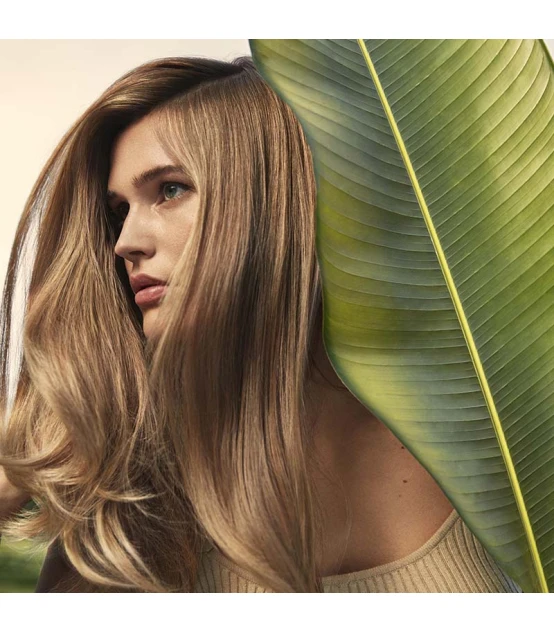 Aveda Nutriplenish Conditioner Light Moisture 250ml  | Celini.nl