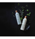 Aveda Rosemary Mint Purifying Shampoo 250ml  | Celini.nl