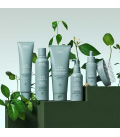 Aveda Scalp Solutions Balancing Shampoo 1000ml  | Celini.nl