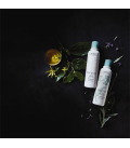 Aveda Shampure Nurturing Conditioner 250ml  | Celini.nl