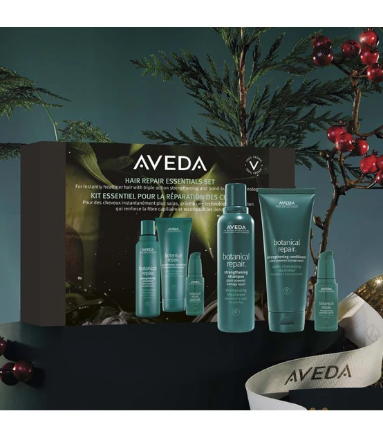 Aveda Essentials Set Botanical Repair  | Celini.nl