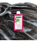 Klorane Dorstlessende Shampoo met Cactusvijg 400ml  | Celini.nl