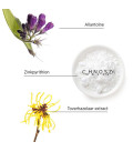 System Professional Purify Mask 200ml  | Celini.nl