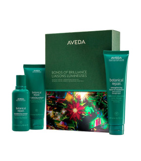 Aveda Gift Set Bonds of Brilliance Botanical Repair  | Celini.nl
