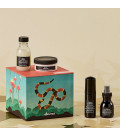 Davines Gift Set Elegant Tropic Forest Voor Alle Haartypes  | Celin...