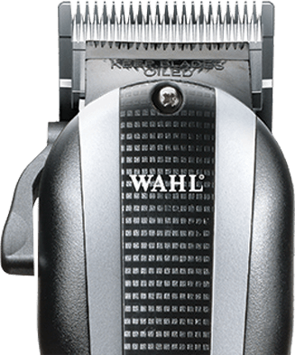 Wahl op Celini.be Official Store